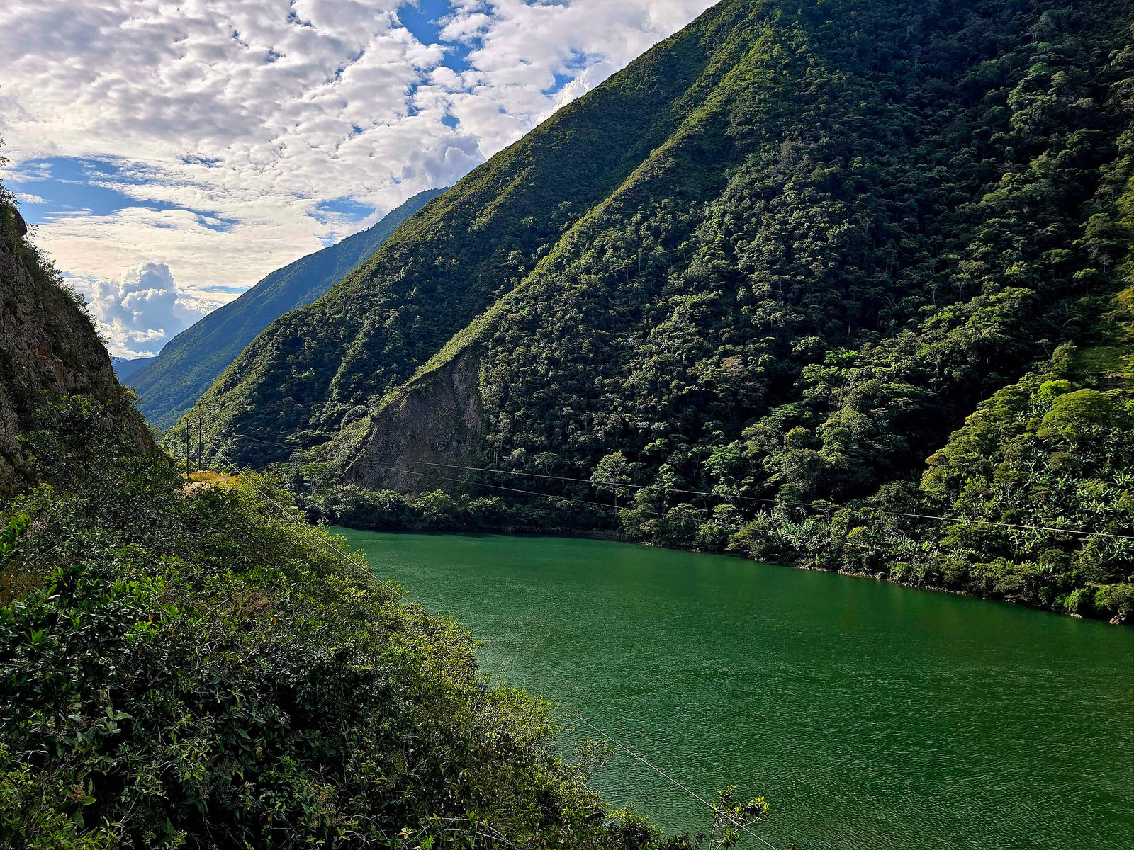 Peruvian Coffee Harvest Guide 25/26