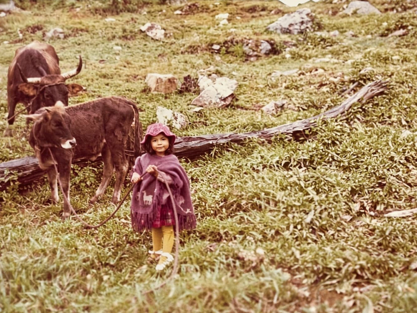 The Land Waited for Judith Avellaneda from Finca Vista Alegre