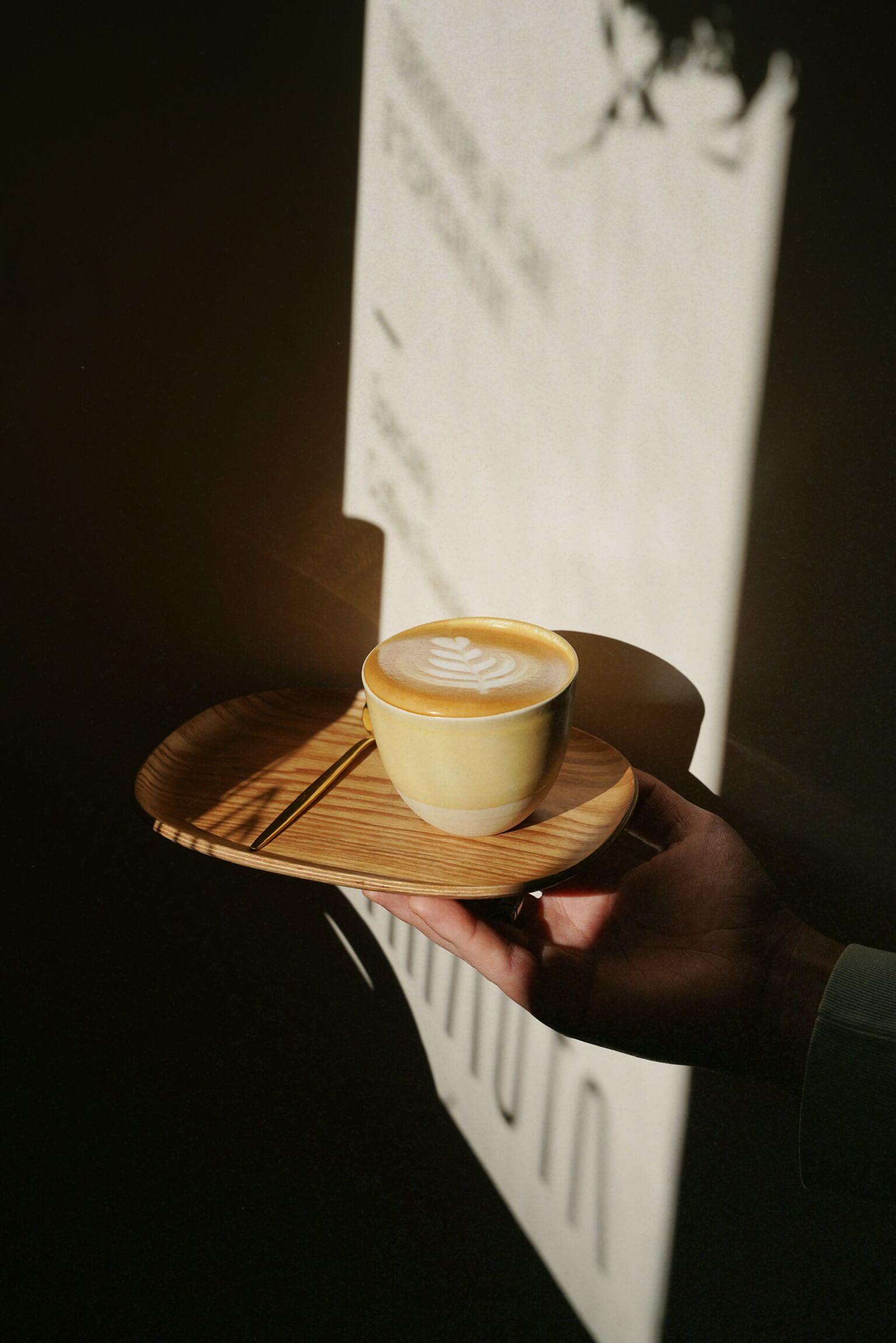 Coffee Culture & Industry Voices: Harvest Guide 24/25