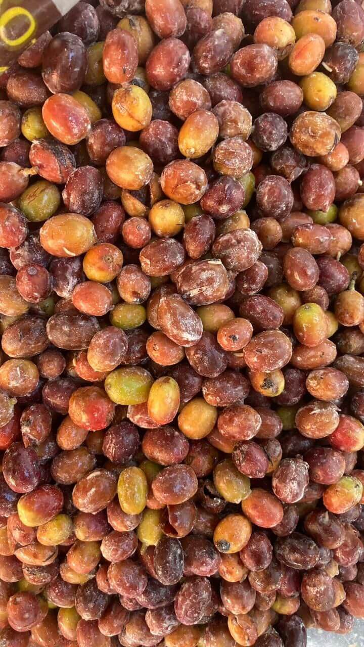 Coffee Processing in Peru