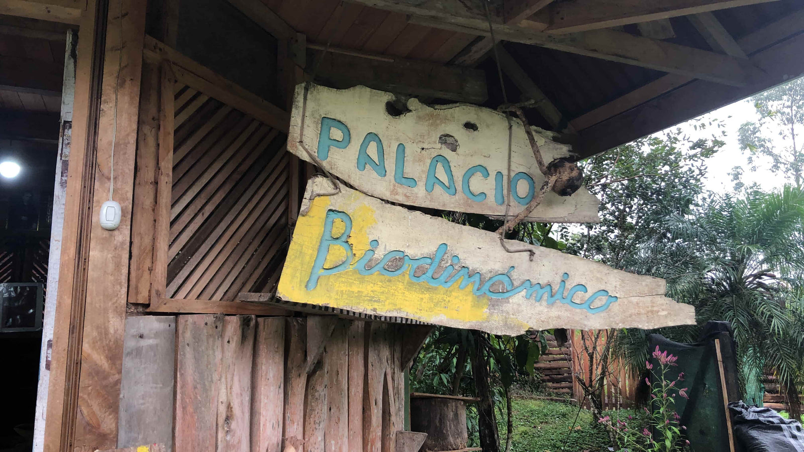 Peru's Only Certified Biodynamic Coffee Farm