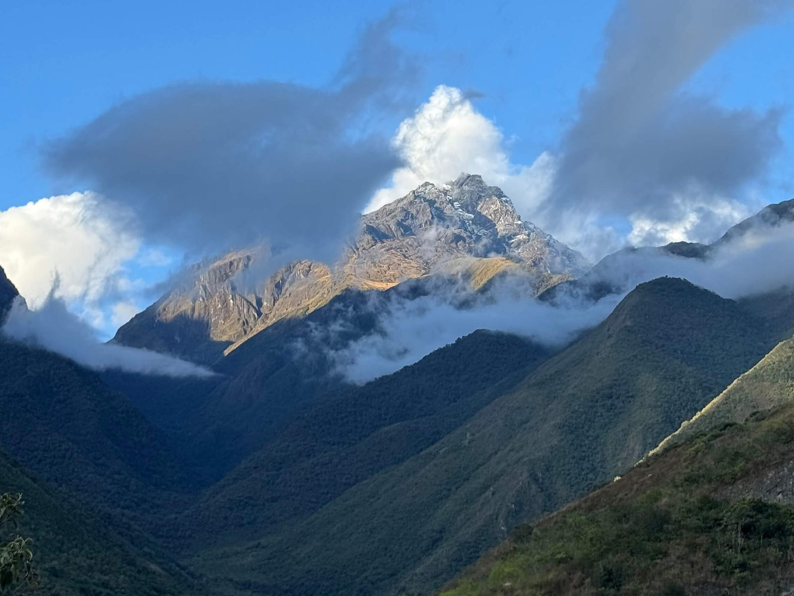 Peru's Varietal Moment — SL09 / Inca Geisha