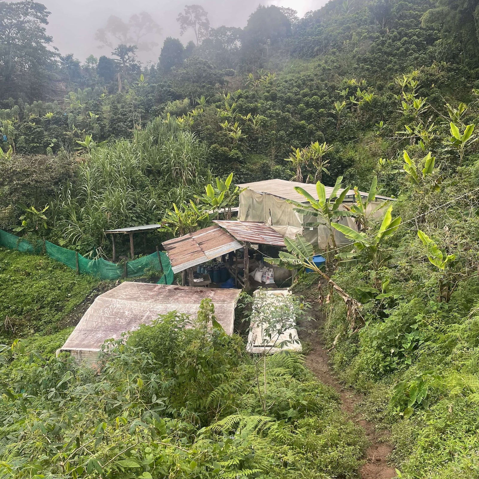 2025/26 Harvest - Peruvian Coffee Offer List