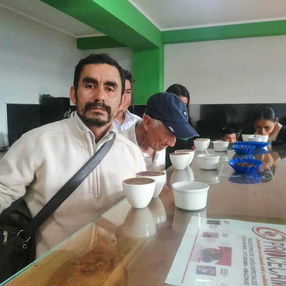 Cupping_at_Procecam_offices