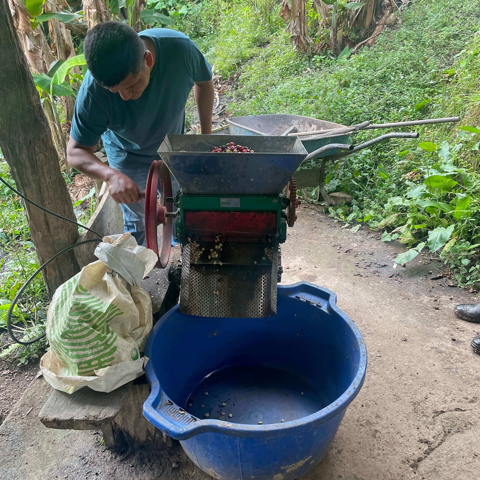 David Flores operating a small pulping machine in a rural setting with greenery