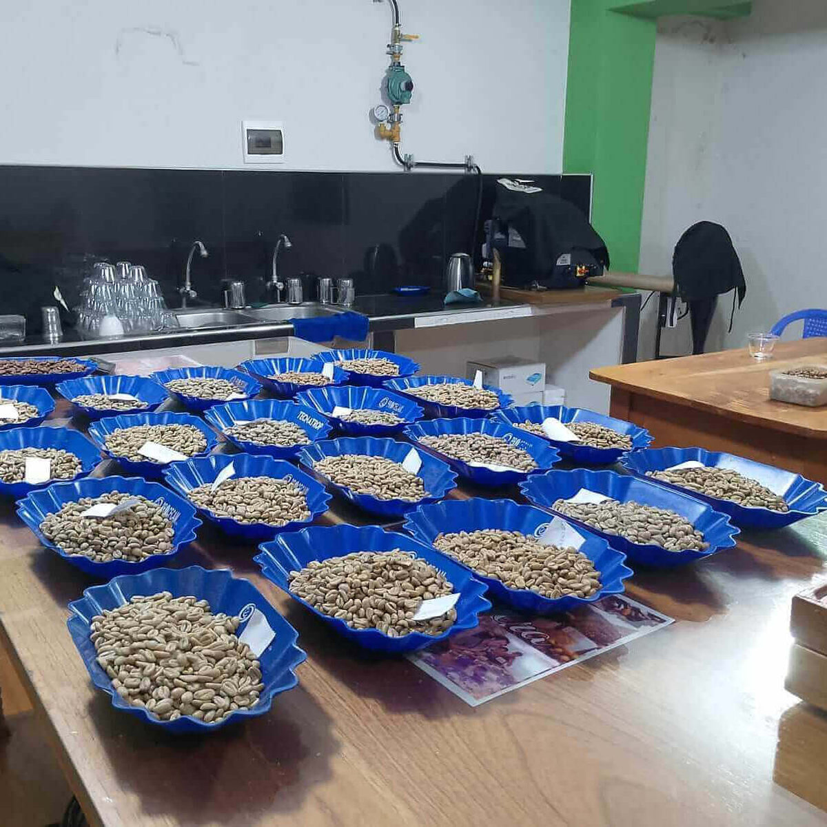 Green_coffee_sampling_coffees_at_Procecam