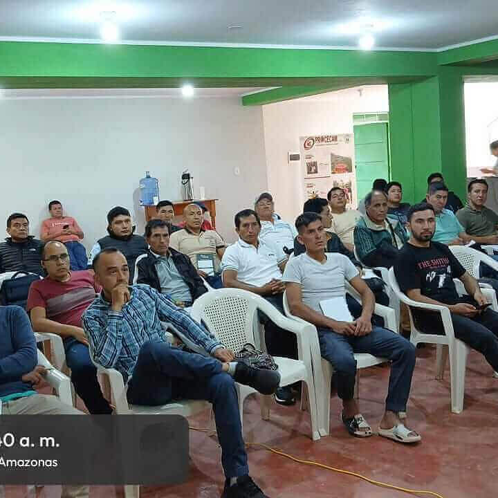 Cupping_at_Procecam_offices