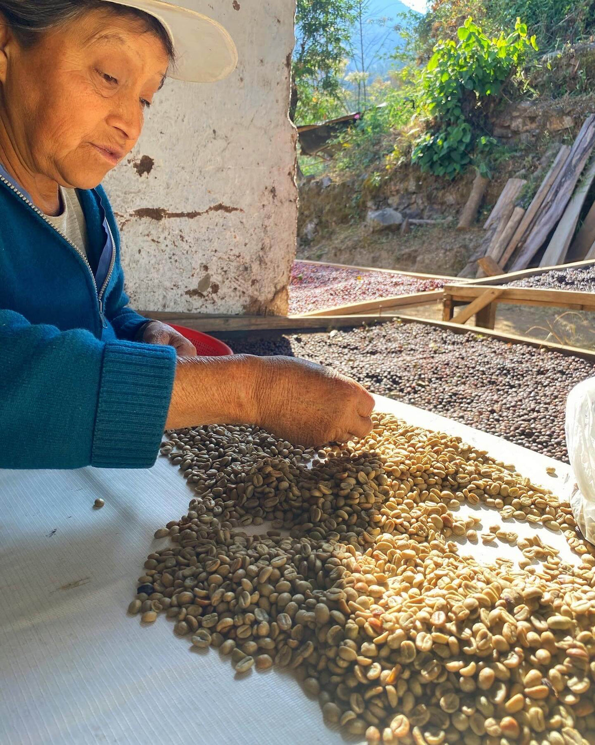 Ramos Garcia Family - Proyecto Otuzco - Natural - Red Caturra