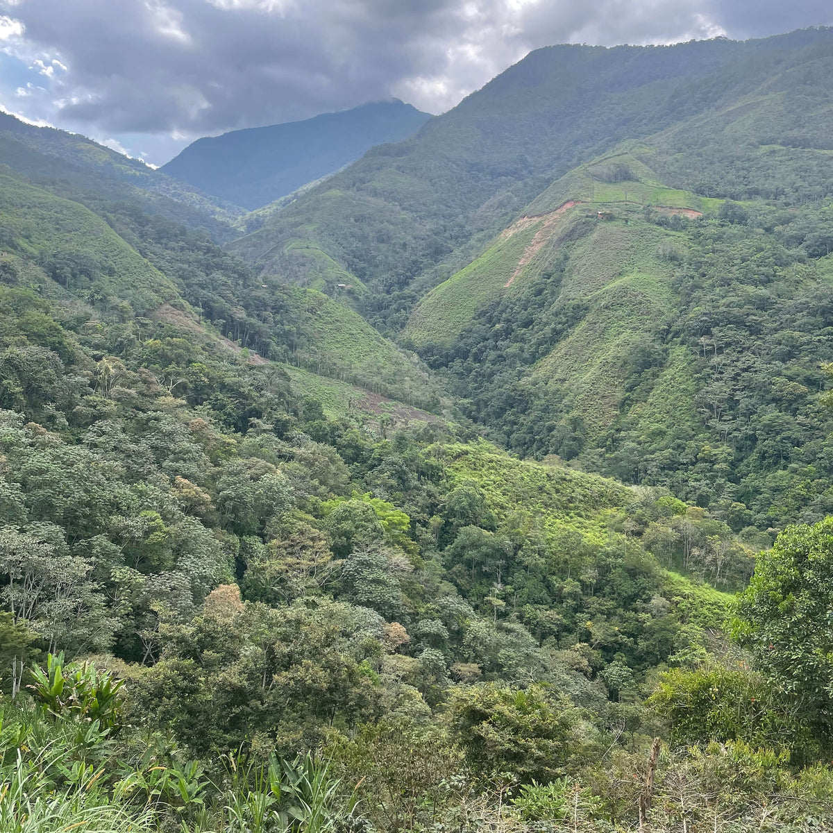 Green valley with mountains under a cloudy sky