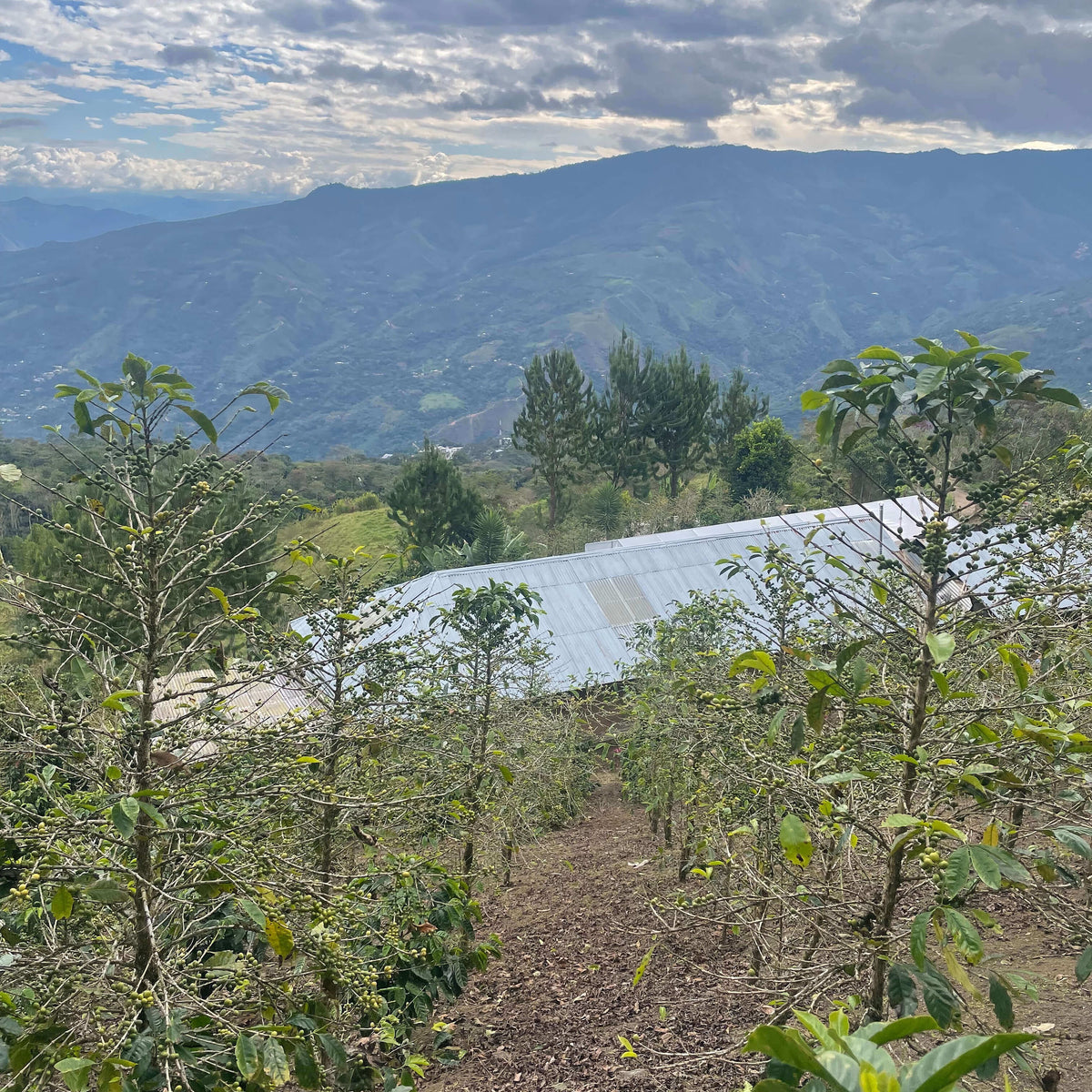 Scenic view of a mountainous landscape with a small building and trees.