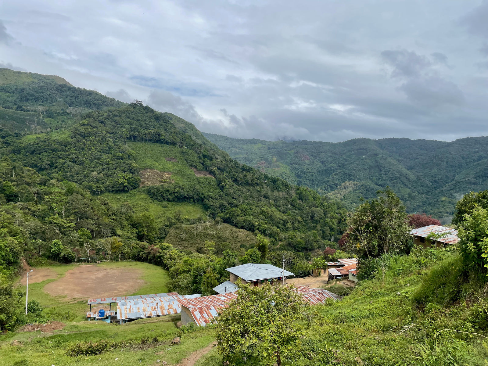 Peruvian Coffee Farm in Cajamarca