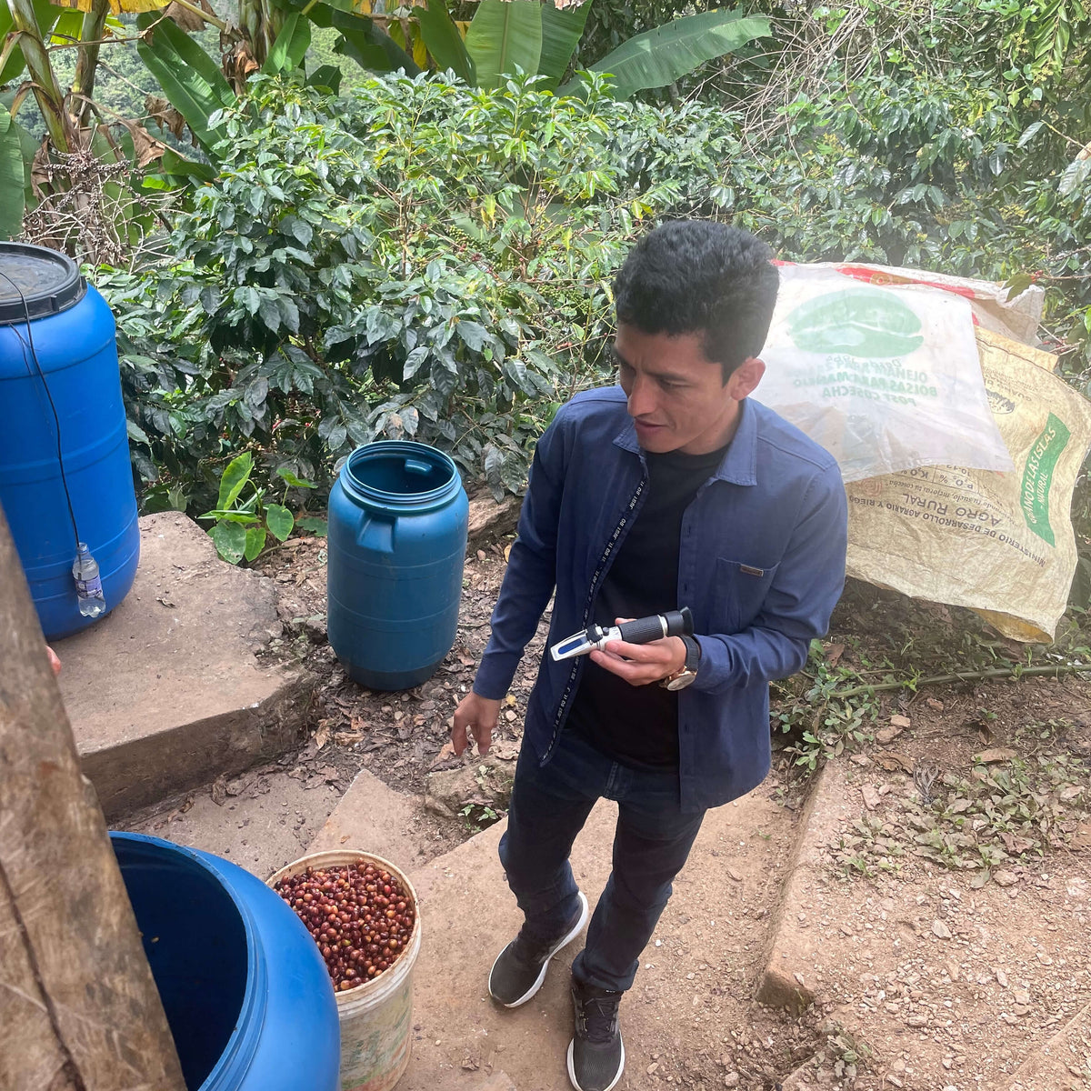 Roiber holding a refractometre in a coffee farm setting with blue barrels and coffee beans.
