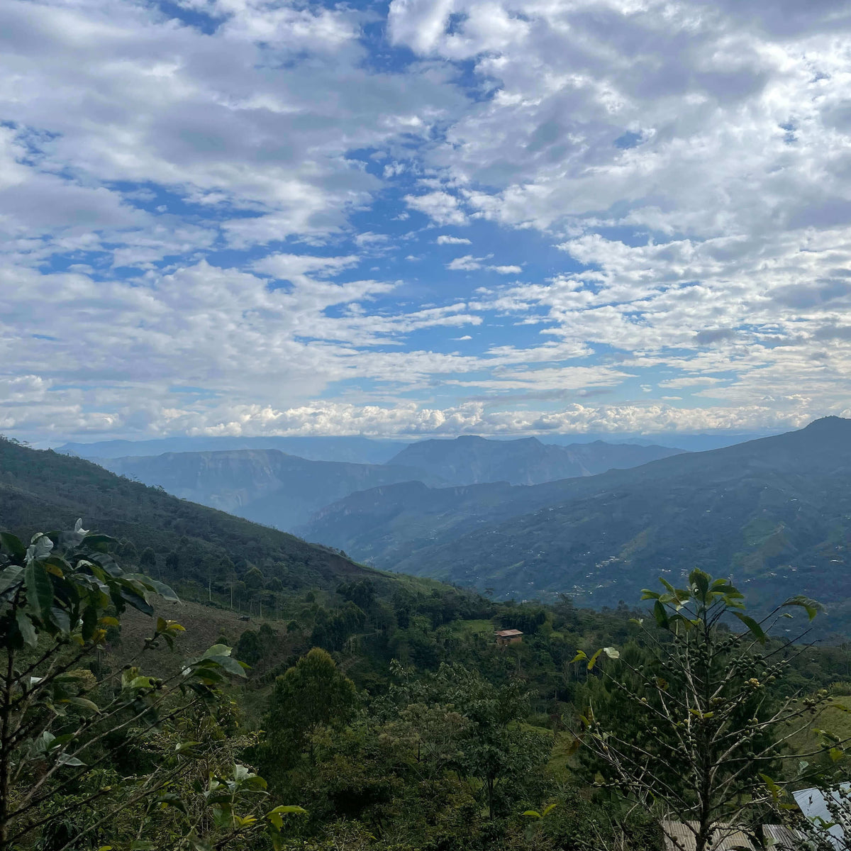 Scenic view of mountains under a blue sky with clouds