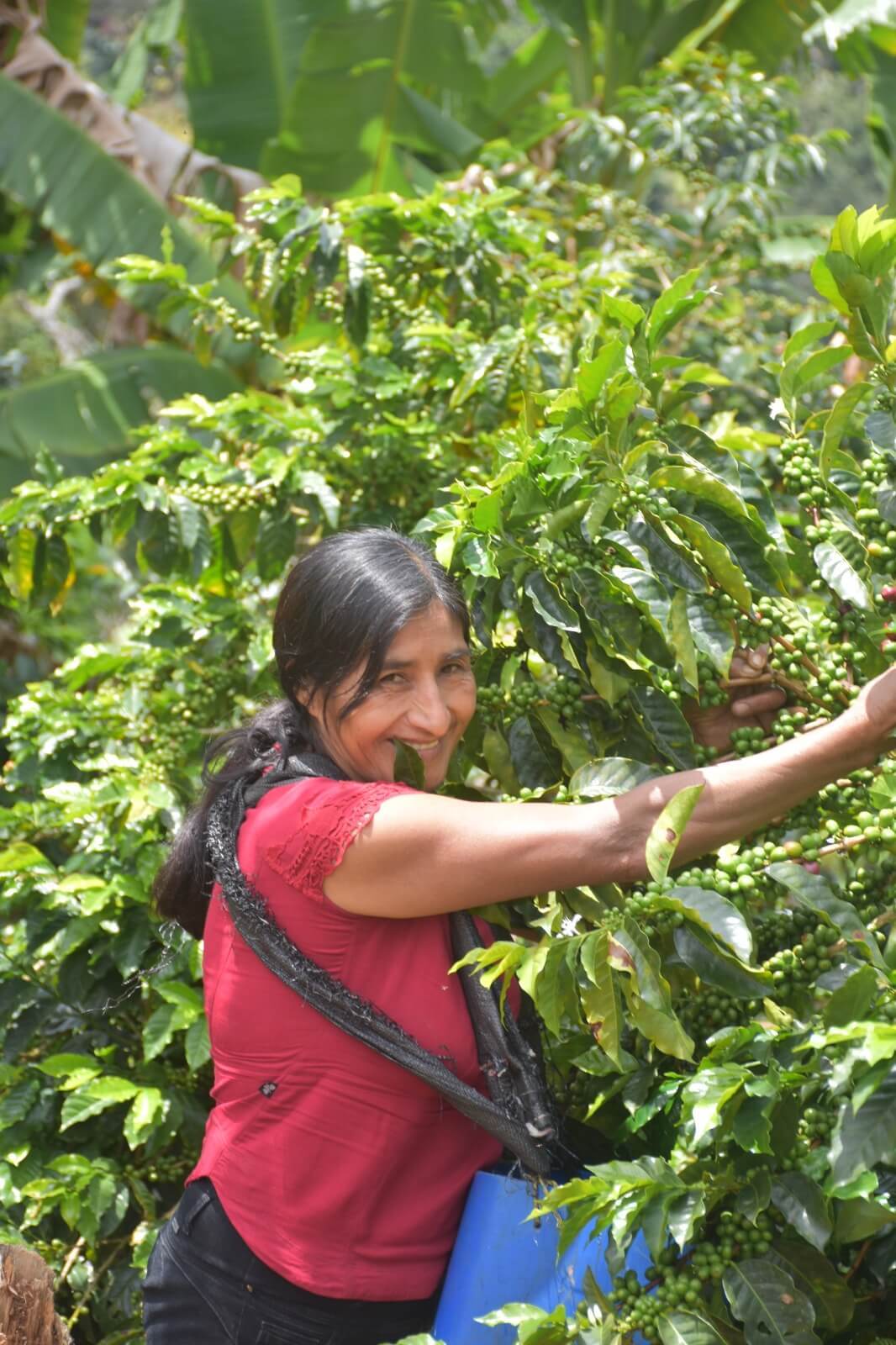 Maria Nieves Tantalen &amp; Maria Gloria Neira - La Coipa Microlots