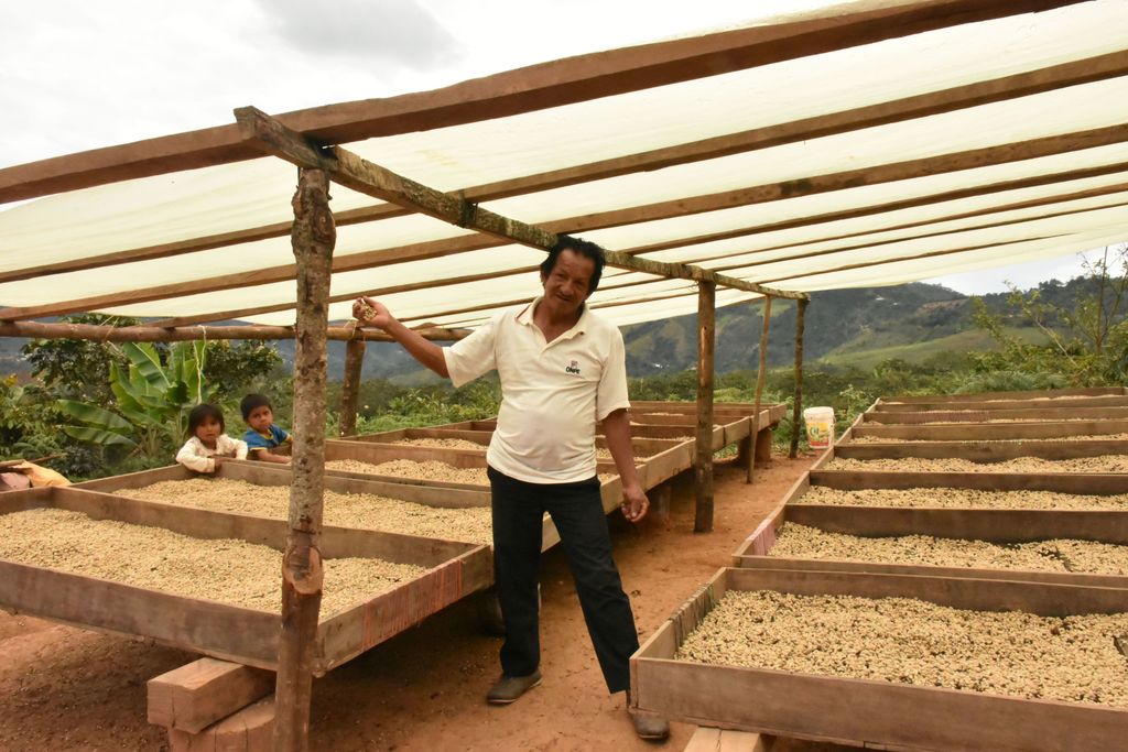Light Roast Peruvian Organic Coffee Beans - Microlot